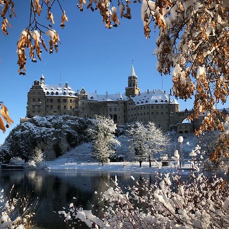 Апартаменты Privatzimmer Leopold Зигмаринген Экстерьер фото